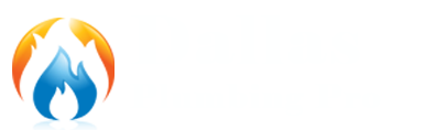 logo Dallas Plumbing Pro logo